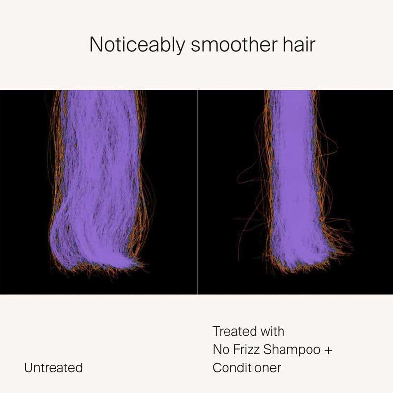 Living Proof No Frizz Shampoo